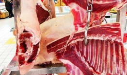 不舍昼夜吃瓜娱乐